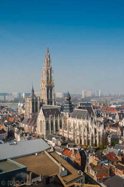 High view on Antwerp Cathedral